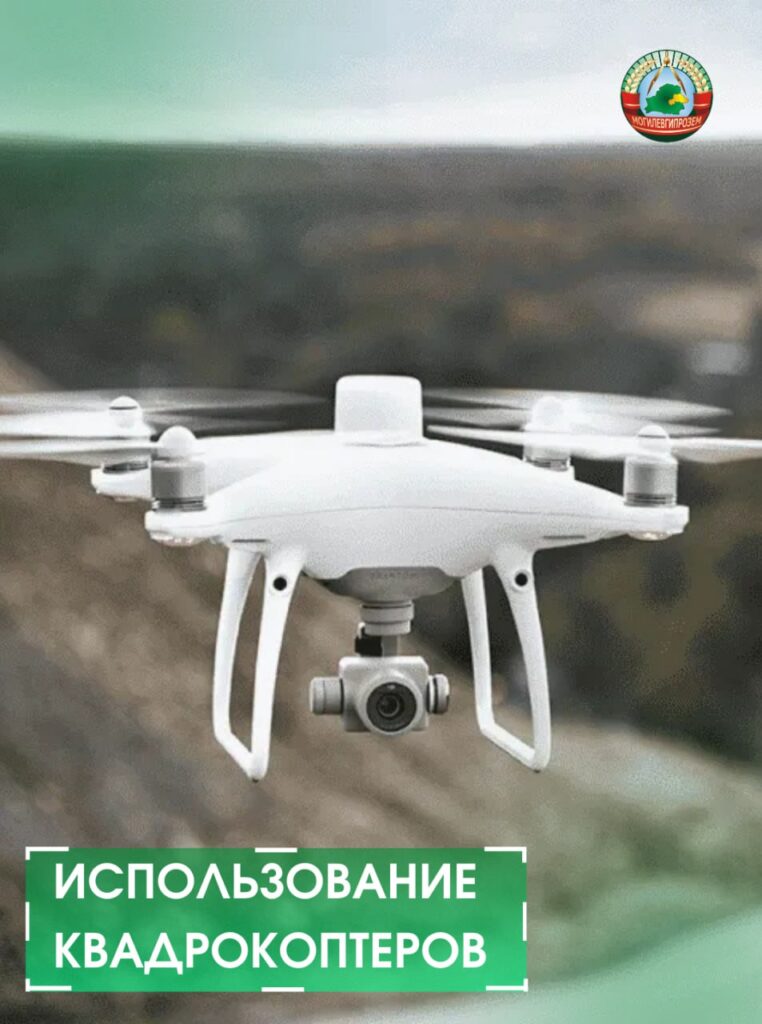 kvadro