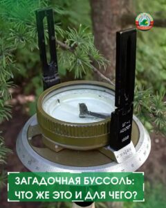 новостиЗагадочная буссоль: что же это и для чего?